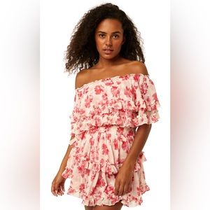 NWT Misa Los Angeles - Isella Dress